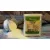 Balance Food Acid ascorbic 500 g