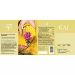 GAL CURCUGREEN KURKUMA KIVONAT FORTE KAPSZULA 60DB