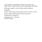 Vitaking Instant Supreme C-1000 (+heszperidin) erdei gyümölcs 400g